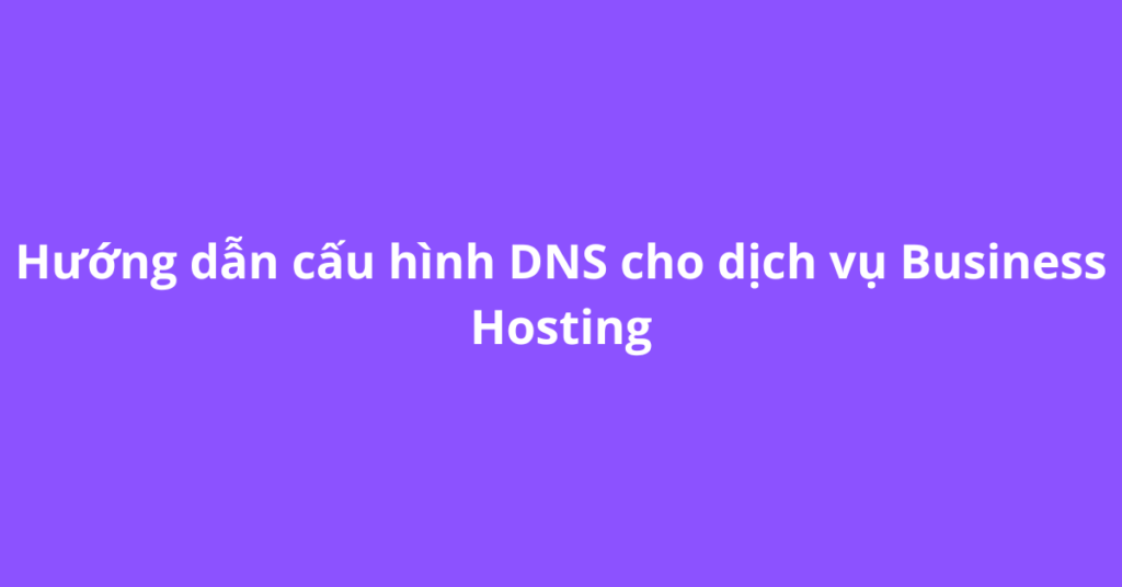 Hướng dẫn cấu hình DNS cho dịch vụ Business Hosting